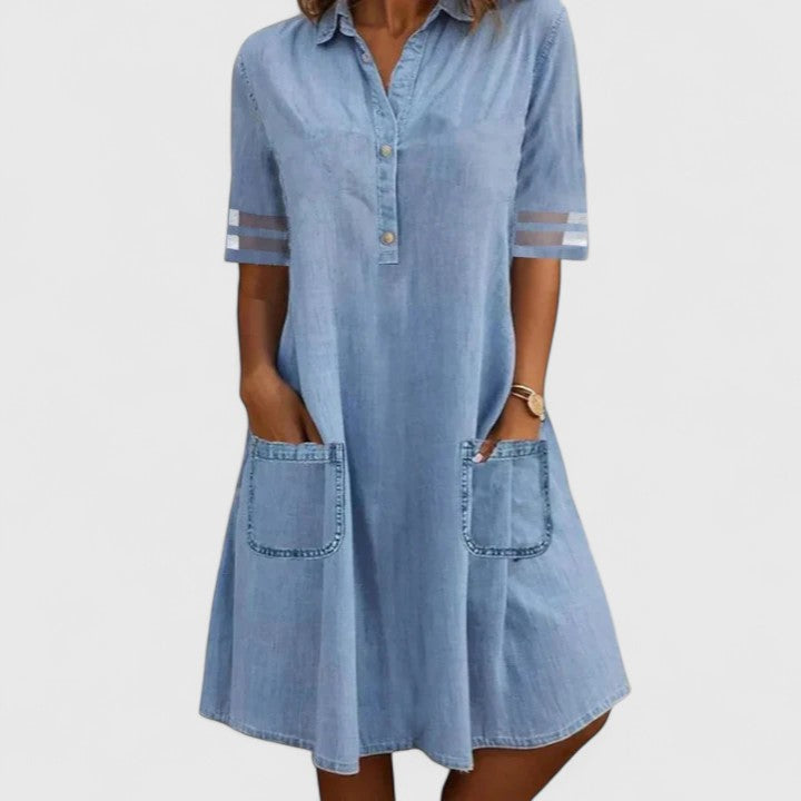 Brittany Denim Figure Dress